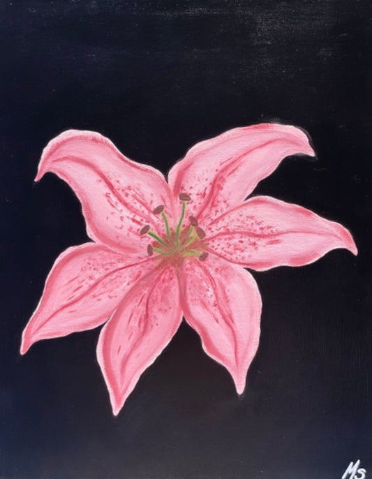 Lily in Bloom