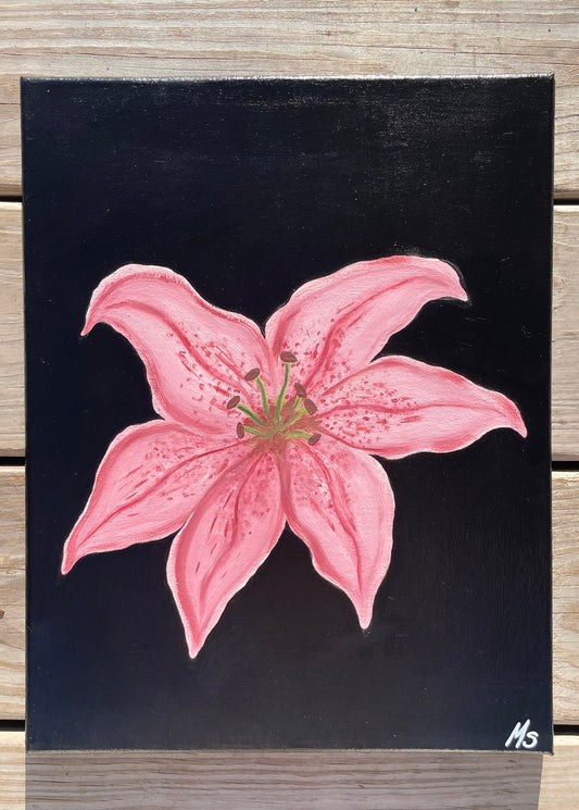 Lily in Bloom