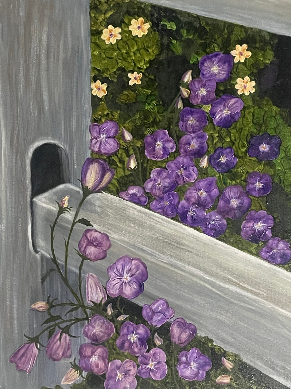 Wild Violets