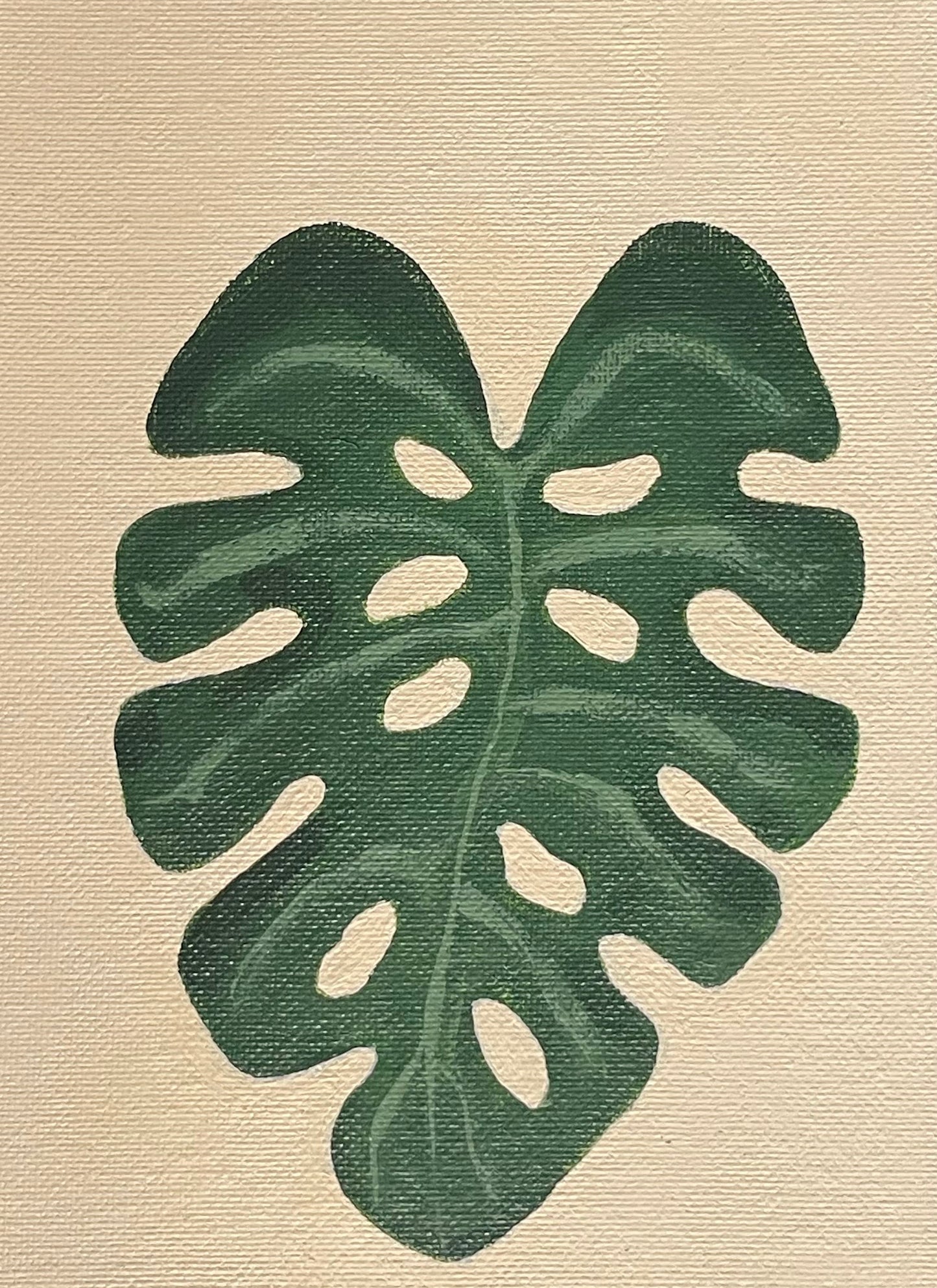 Monstera
